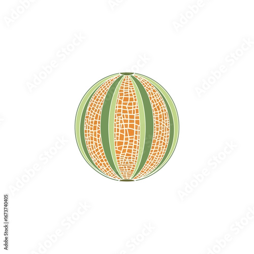 Colorful Cantaloupe Illustration with Defined Texture