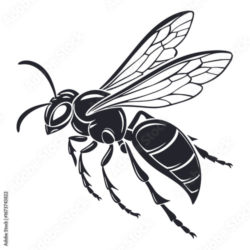 vector illustration of a wasp