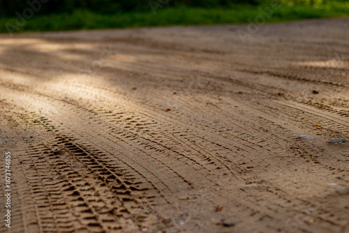 Fresh tire marks pressed into a sandy dirt road in a rural setting, with soft lighting and surrounding green forest background.