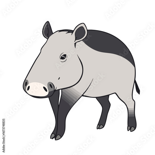 Clean vector art of a tapir with its distinct snout