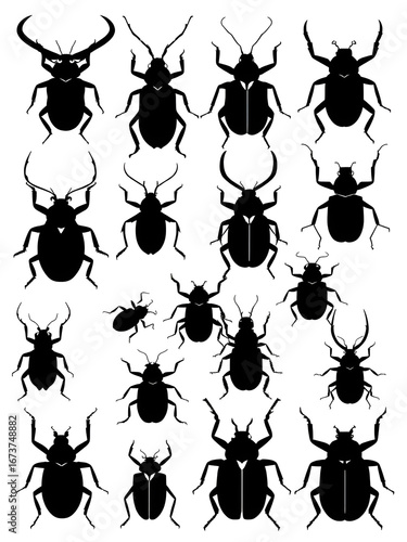 Silhouetted Variety of Beetle Illustrations with Different Body Shapes and Antennae