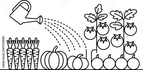 Line art illustration: Watering can irrigating carrots, pumpkins, tomatoes.