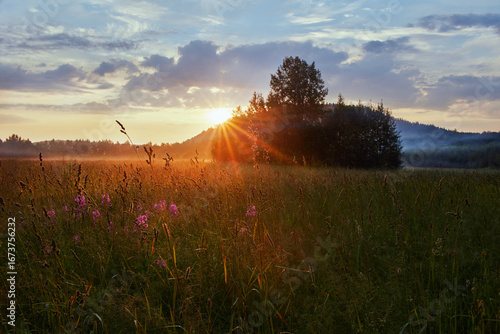 Soft sunlight spills over a peaceful meadow adorned with wildflowers, casting a warm glow as dawn breaks over the distant trees and hills during early morning