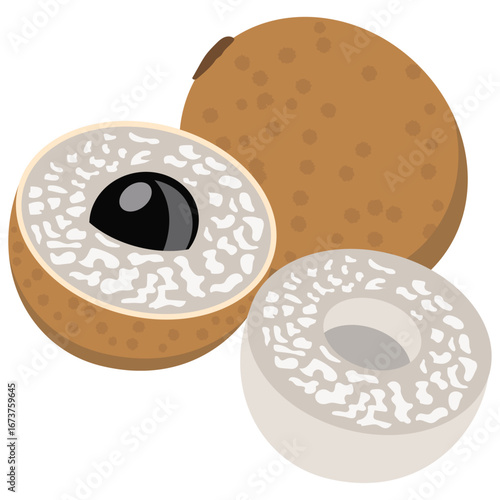 longan, fresh longan fruit whole and half with seed.