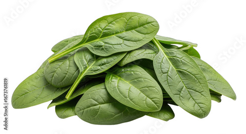 vibrant green spinach fresh harvest, natures goodness, healthy eating
