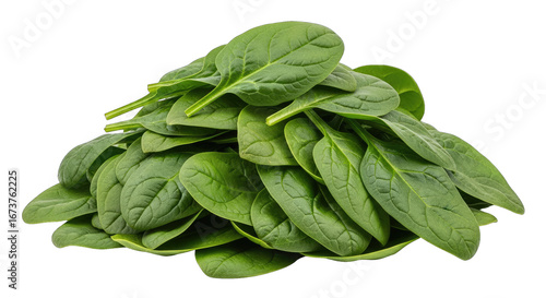 vibrant green spinach natures superfood, freshly harvested