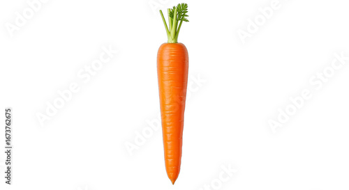 vibrant single carrot a fresh, healthy, and nutritious delight