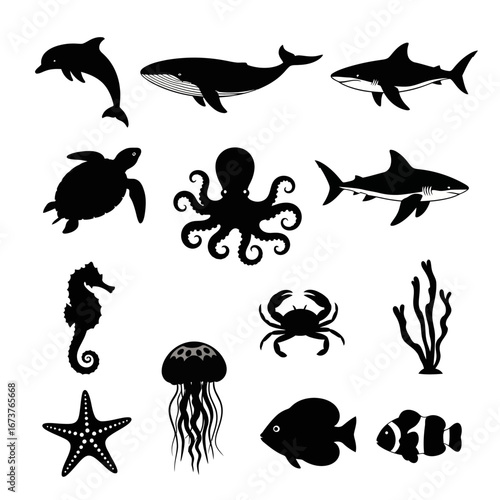 Collection of Black and White Marine Animal Silhouettes