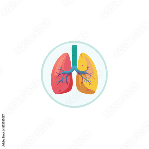 Human lungs with bronchus illustration in the circle, healthcare concept
