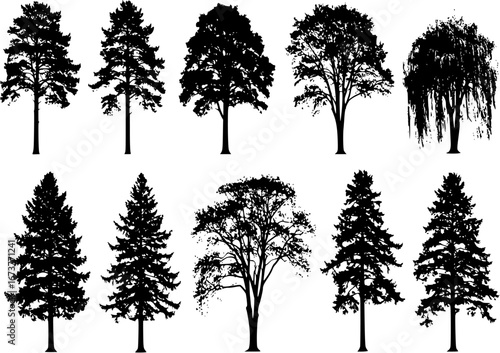 silhouette tree set
