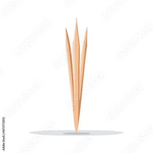 Wooden Toothpick Trio Pointed and Isolated