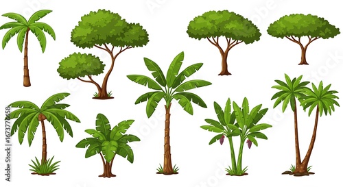 Tropical Arboretum