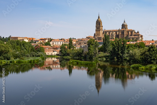Wallpaper Mural Mussels and crabs appear on the beach when the tide falls in the Cantabrian Sea. Quality seafood. A rock filled with mussels. Torontodigital.ca