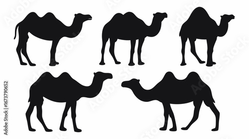 Silhouette depiction of five camels in various standing poses against a white background image view | editable eps vectors
