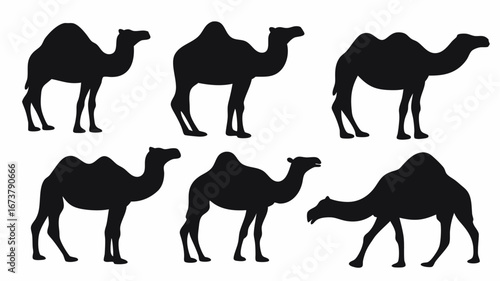 Silhouette depiction of six camels in various standing and walking poses against a white background | editable eps vectors