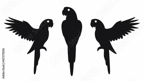 Three black parrot silhouettes with one standing and two with wings spread on a white background | editable eps vectors