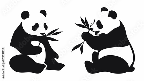 Two pandas sitting and eating bamboo leaves in a black and white illustration on a white background | editable eps vectors silhouette