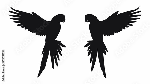 Silhouette depiction of two parrots with outstretched wings perched on branches facing each other nicely | editable eps vectors