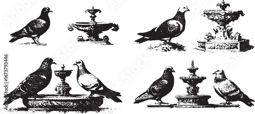 Old monochrome print illustration in the style of an English artist from the 9th century, depicting a pigeon and an ornamental fountain side by side, on a white background.eps