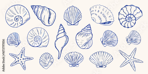 Collection of hand drawn blue line art seashells and starfish on a cream background