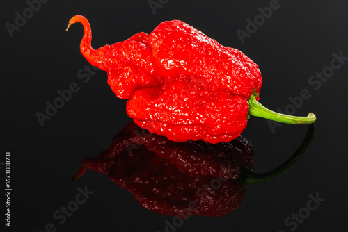 Extremely hot Carolina Reaper pepper - HP22B,  top of the scoville scale