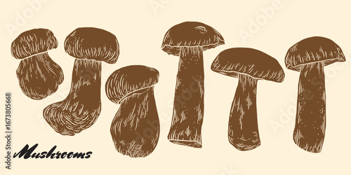 Mushrooms hand drawn ink sketch set. Linocut mushroom collection. Engraving vegetables bundle. Porcini mushrooms hand drawn set. Sketch style blackberries. Vector ink illustration.