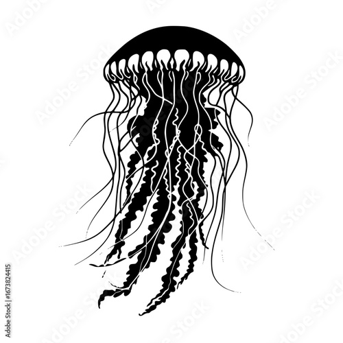 Striking black jellyfish silhouette drifts gracefully with elegant tentacles in a captivating underwater scene
