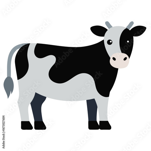 cow isolated on white background