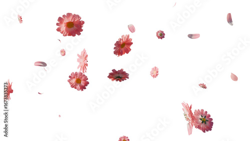 Peachy pink spring flowers and petals overlay 3d render