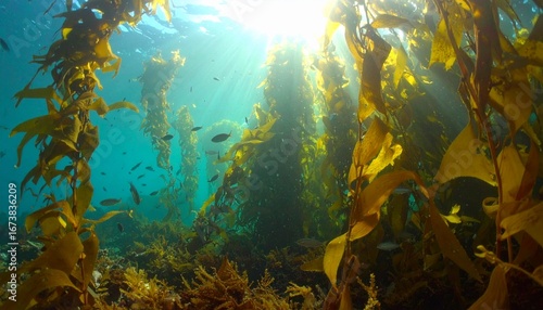 Golden sunbeams illuminate a thriving kelp forest ecosystem deep beneath the tranquil blue ocean surface