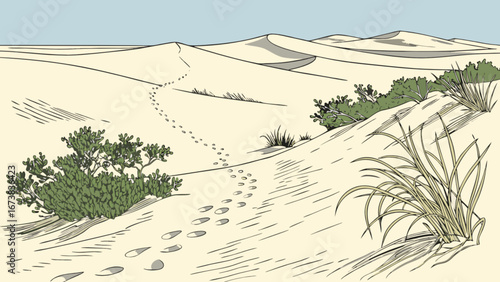 Explore desert landscape with sand dunes, footprints, plants, and clear sky scenic travel destination view