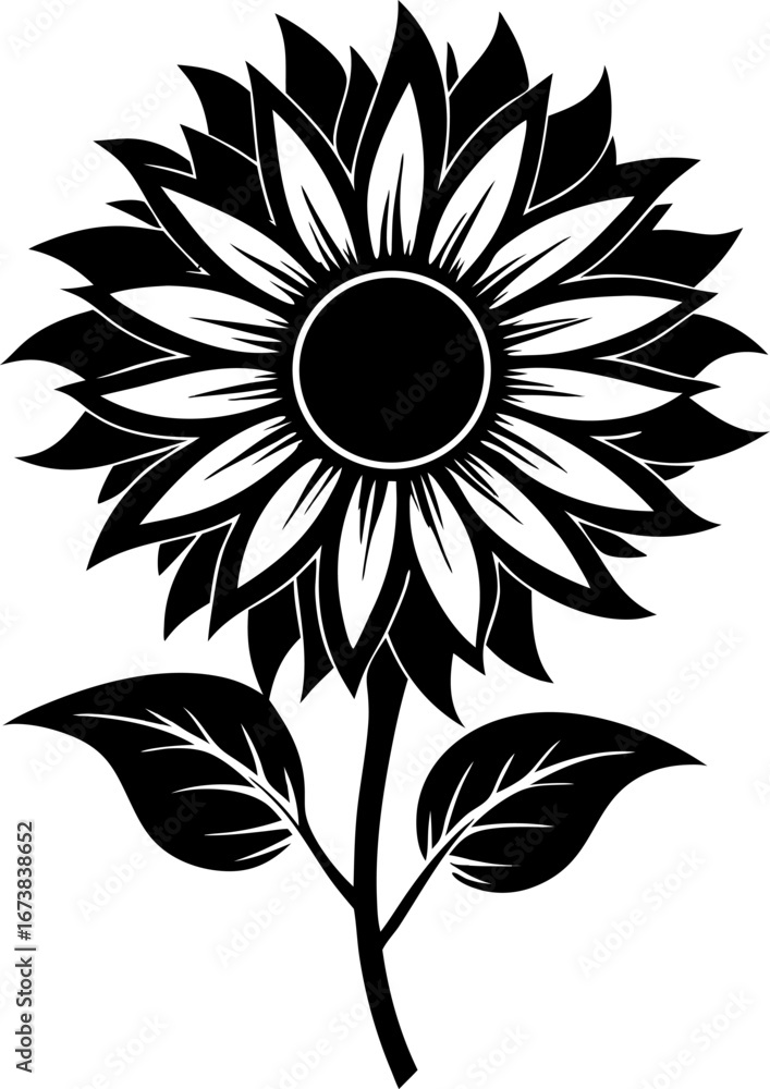 Fototapeta premium Sunflower silhouette vector black , white background 