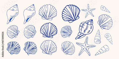 Collection of hand drawn blue seashells and starfish on a light beige background