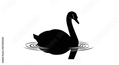 Elegant Black Swan Swimming in Water Silhouette.