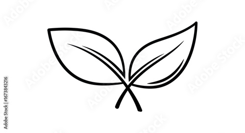 Simple Hand-Drawn Outline of Two Intersecting Green Leaves.