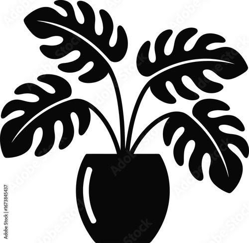 Potted Monstera Plant - Tropical Houseplant Icon