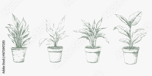 Set of four hand-painted flowers in ceramic pots, rough vintage texture, dusty brush strokes, retro color palette and a paper grain finish throughout.