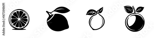 Modern black-and-white vector illustrations of various citrus fruits for minimalist design projects