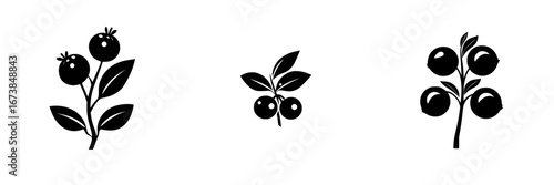 Minimalist black-and-white vector illustration of berry plants with simple silhouettes displaying various leaf arrangements and fruit sizes