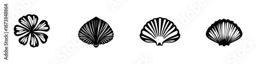 Minimalist black-and-white vector illustration of various shell and flower silhouettes in a simple design