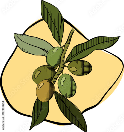 Yellow puddle with olive branch composition vector isolated. Vector graphic line ink colored illustration. For poster, invitation, backdrop, ad, sale promotion, print for t-shirt