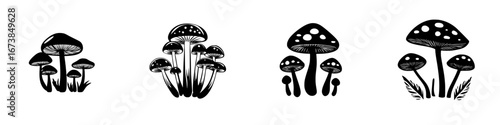 Minimalist black-and-white vector illustration depicting different types of mushrooms in a simplistic style