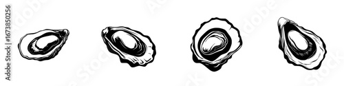 Stylized black-and-white vector illustration of oysters in a minimalist design showcasing various perspectives