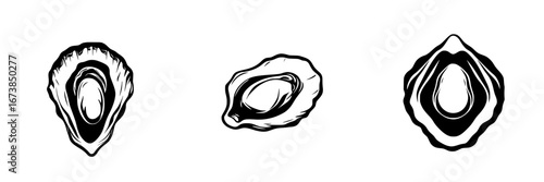 Minimalist vector illustration of oysters showcasing three unique silhouettes in black and white