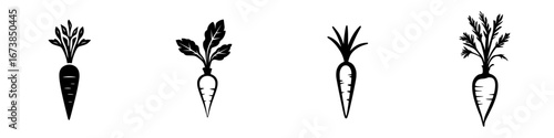 Minimalist black-and-white vector illustration of various carrot silhouettes showcasing clean design and simplicity