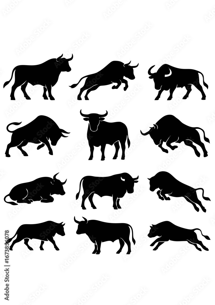 Fototapeta premium Bull
