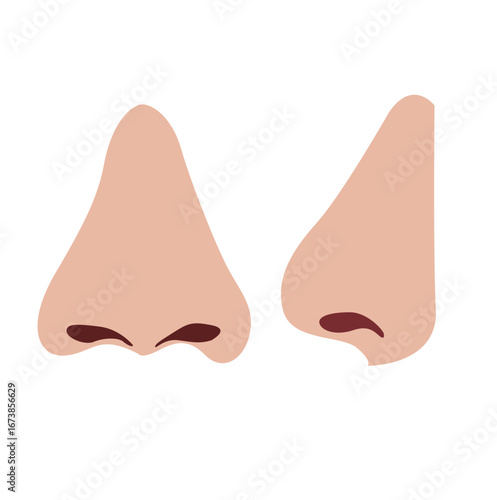 Human nose vector. Human nose side view