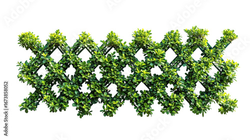 Decorative geometric topiary hedge with vibrant green leaves on black background.