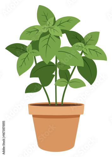 A vibrant illustration of a potted basil plant with lush green leaves, isolated on white.