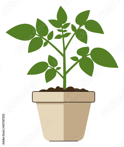 A simple illustration of a green leafy plant growing in a beige pot, isolated on white.